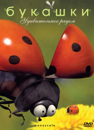 Букашки