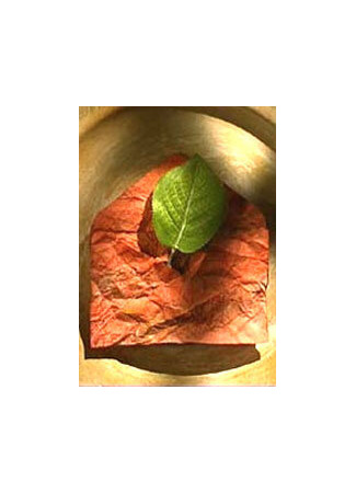 Объятия ветра (2005)