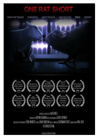 История одной крысы (2006)