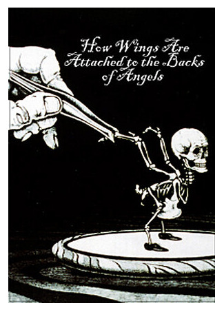 Как прикреплены крылья к спинам ангелов (1996)