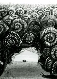Время смерти (1965)