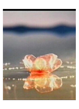 Вдохновение (1949)