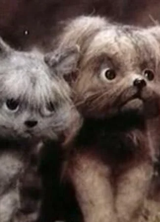 Мы идем искать (1988)