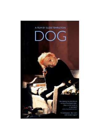 Собака (2001)