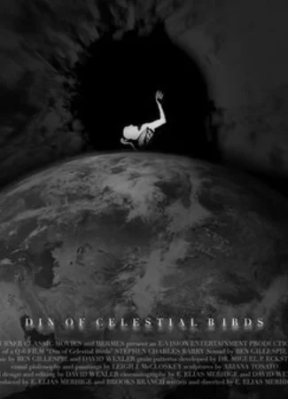 Шум небесных птиц (2006)