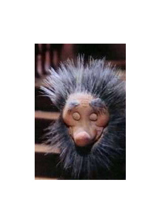 Последние волшебники (1979)