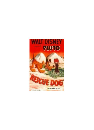 Rescue Dog (1947)