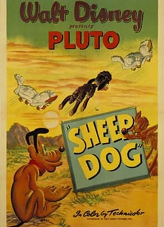 Овчарка (1949)