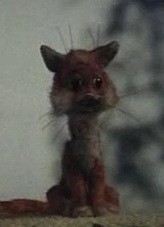 Рыжая кошка (1985)