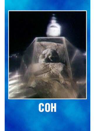 Сон (1988)