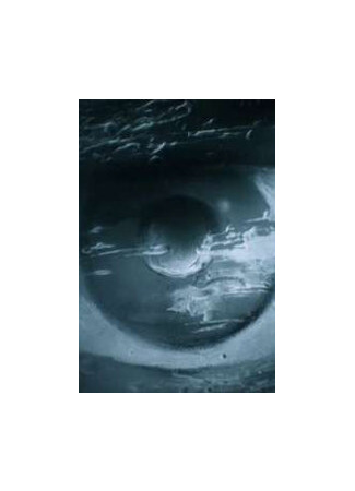 Последний (1991)