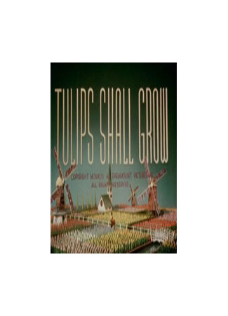 Тюльпаны вырастут (1942)