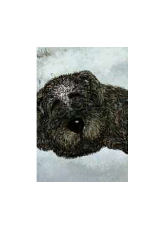 Белолобый (2010)