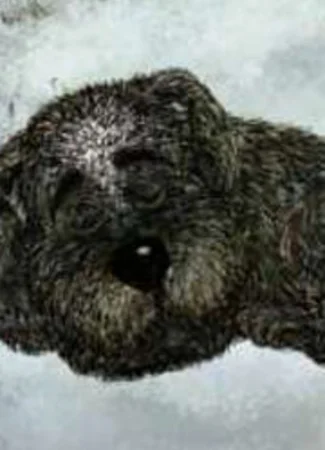 Белолобый (2010)