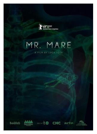 Мистер Маре (2019)