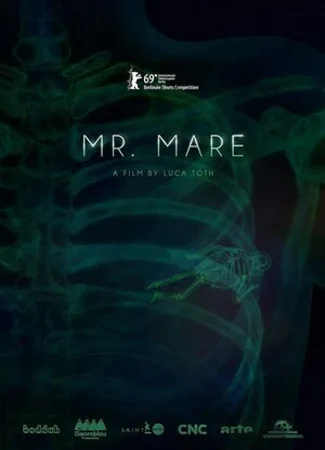 Мистер Маре (2019)