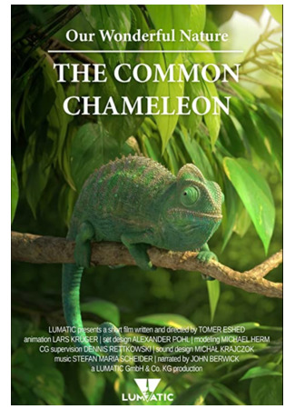 Наша чудесная природа — Хамелеон обыкновенный (2016)