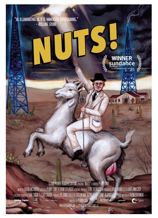 Безумие! (2016)