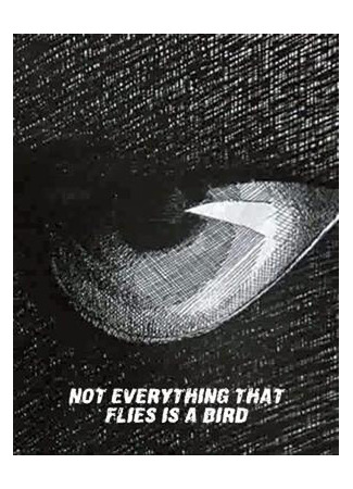 Не всё то птица, что летает (1970)