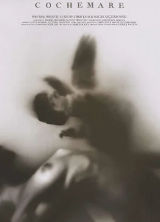 Кошмар (2013)