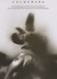 Кошмар (2013)