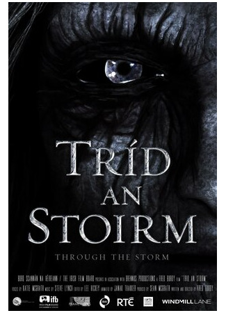 Во время шторма (2012)