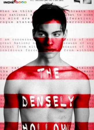 Densely Hollow (2013)