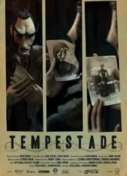 Шторм (2011)