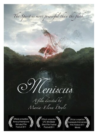 Meniscus (2010)