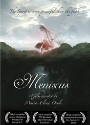 Meniscus (2010)