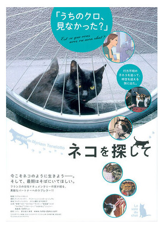 La voie du chat (ТВ, 2009)