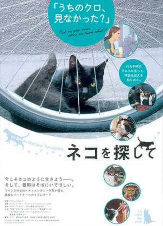La voie du chat (ТВ, 2009)