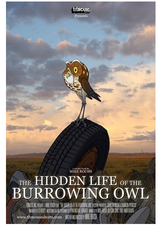 The Hidden Life of the Burrowing Owl (2008)