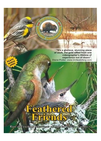 Пернатые друзья (1951)