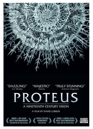 Глубина (2004)