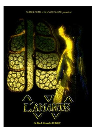 Любовница (2001)