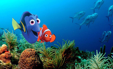 Мультик «В поисках Немо»