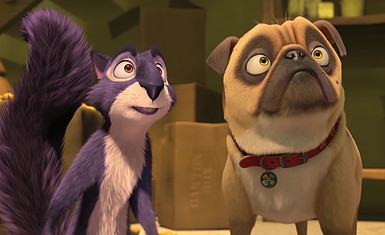 Мультик «Реальная белка»