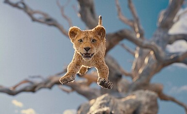 Мультик "Муфаса: Король лев"