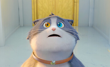 Мультфильм 2024 года "10 жизней"