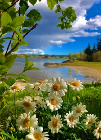 Неудержимая природа 21.10.24