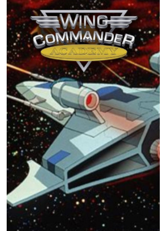 Командир эскадрильи: Академия