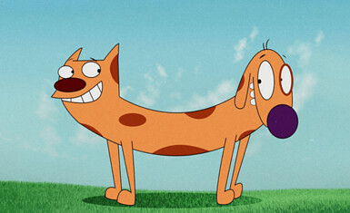 Котопёс: факты о самом странном герое детства