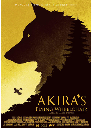 Akira's Flying Wheelchair (2022)