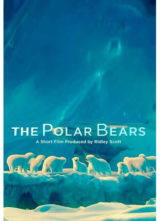 The Polar Bears (2012)
