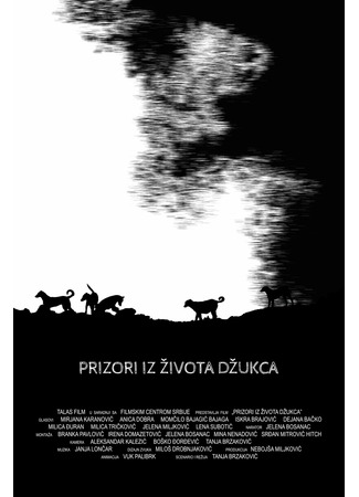 Prizori iz zivota dzukca (2021)