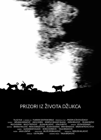 Prizori iz zivota dzukca (2021)
