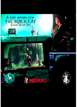 The Black Cat (2021)