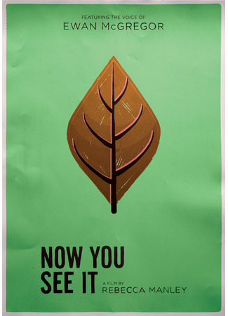 Now You See It (2017)