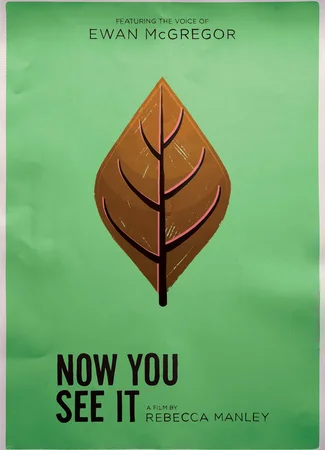 Now You See It (2017)